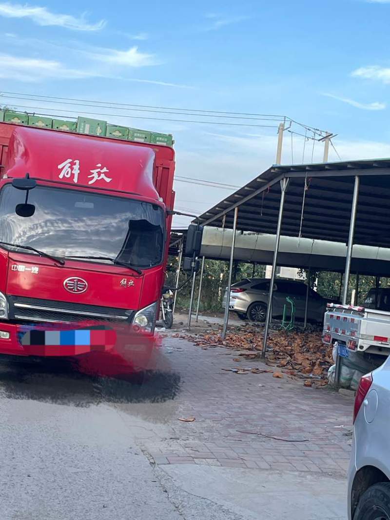各品种梨
