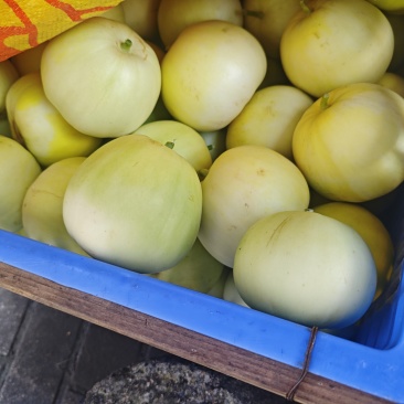 农村，香瓜🍉，香甜可口。只向今天售
