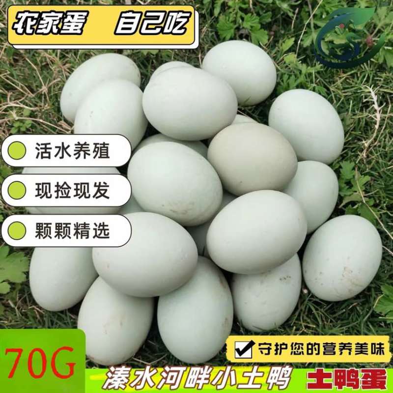 新鲜鸭蛋生鸭蛋农家散养水养活水青壳青皮生鲜大蛋现捡现发