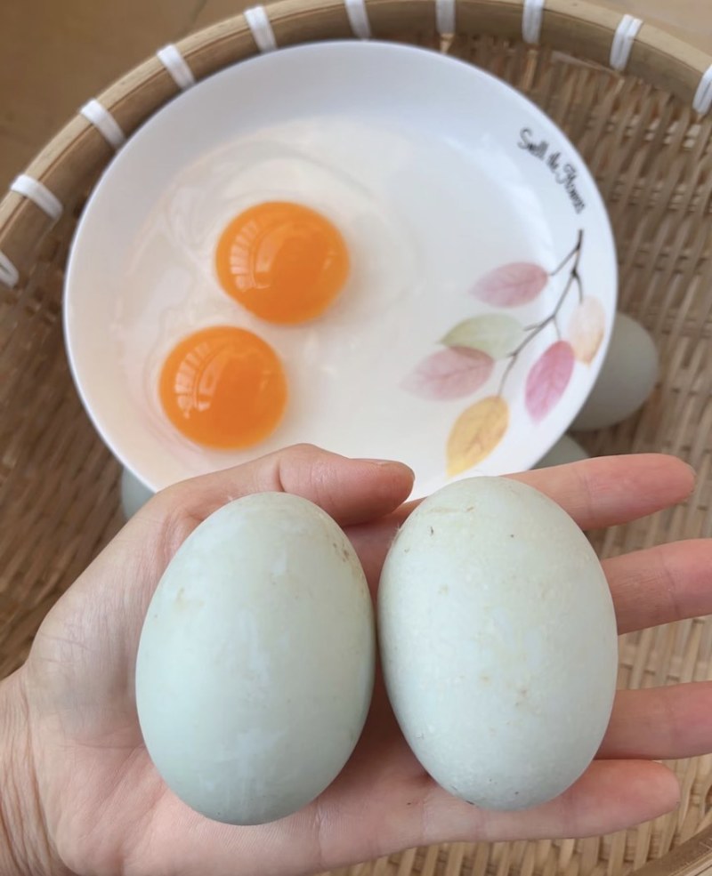 新鲜鸭蛋生鸭蛋农家散养水养活水青壳青皮生鲜大蛋现捡现发