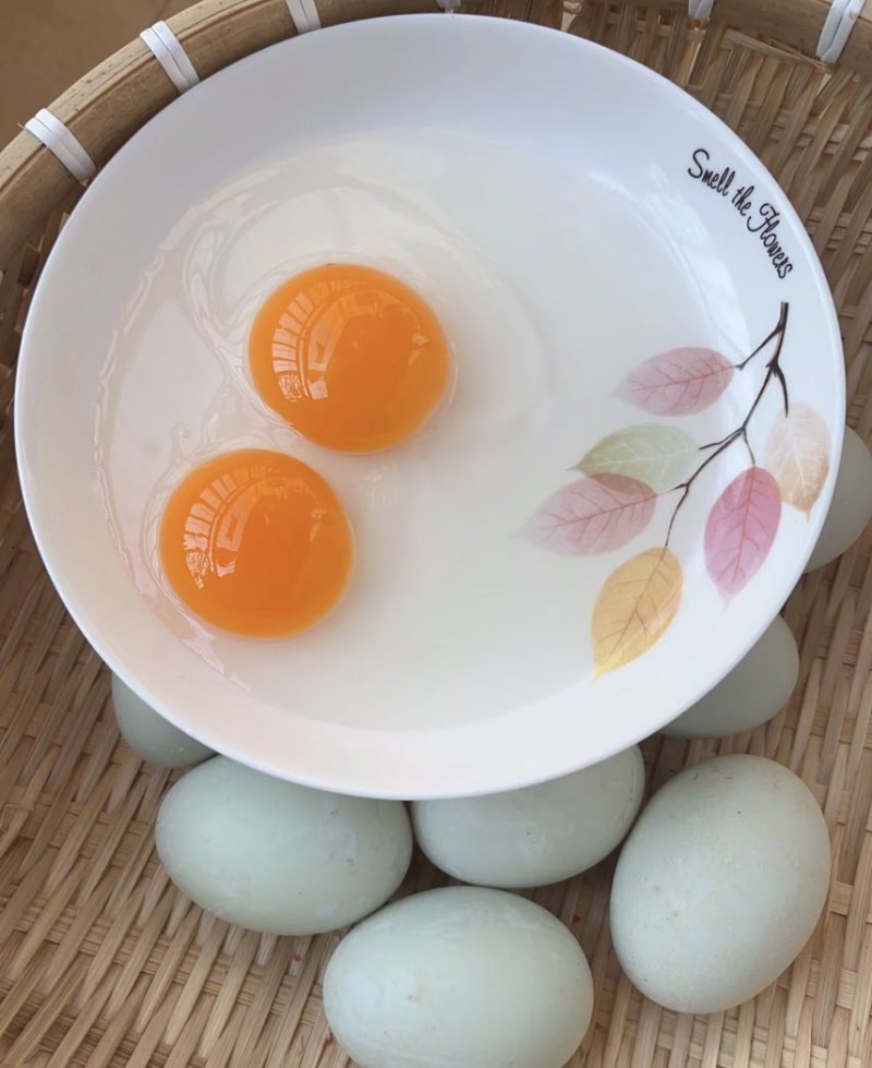 新鲜鸭蛋生鸭蛋农家散养水养活水青壳青皮生鲜大蛋现捡现发