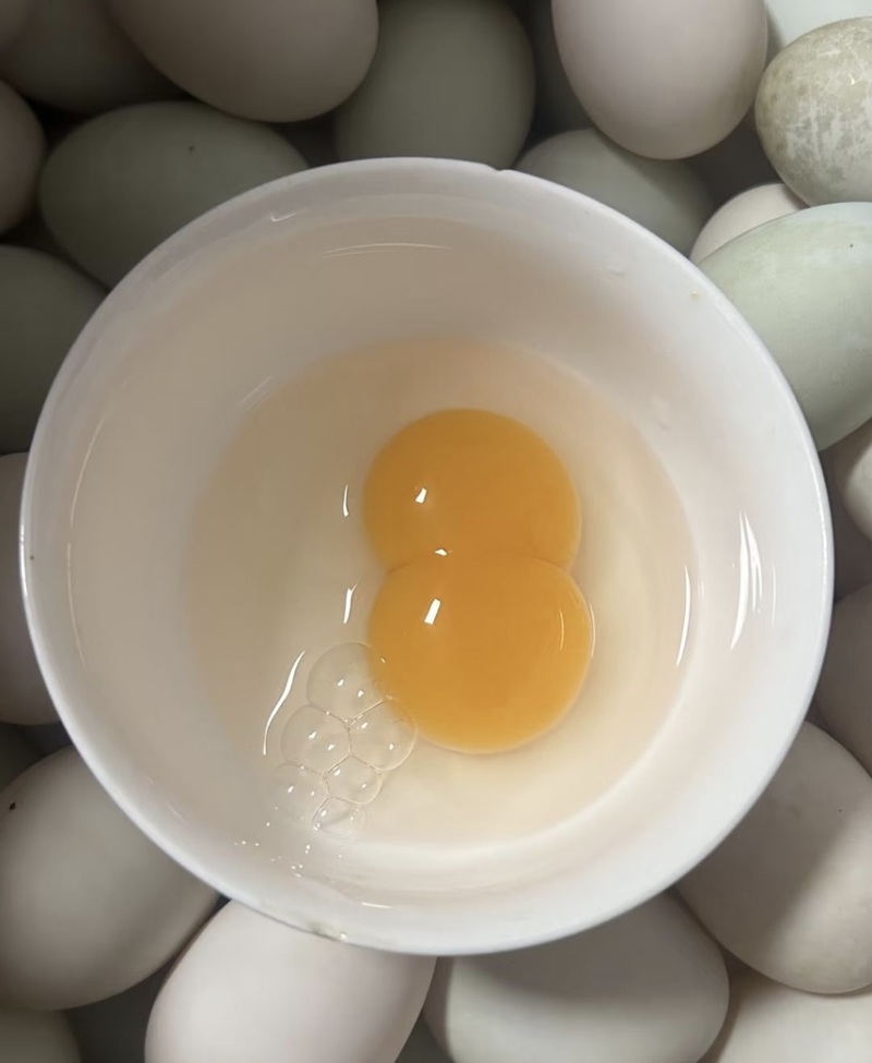 新鲜鸭蛋生鸭蛋农家散养水养活水青壳青皮生鲜大蛋现捡现发