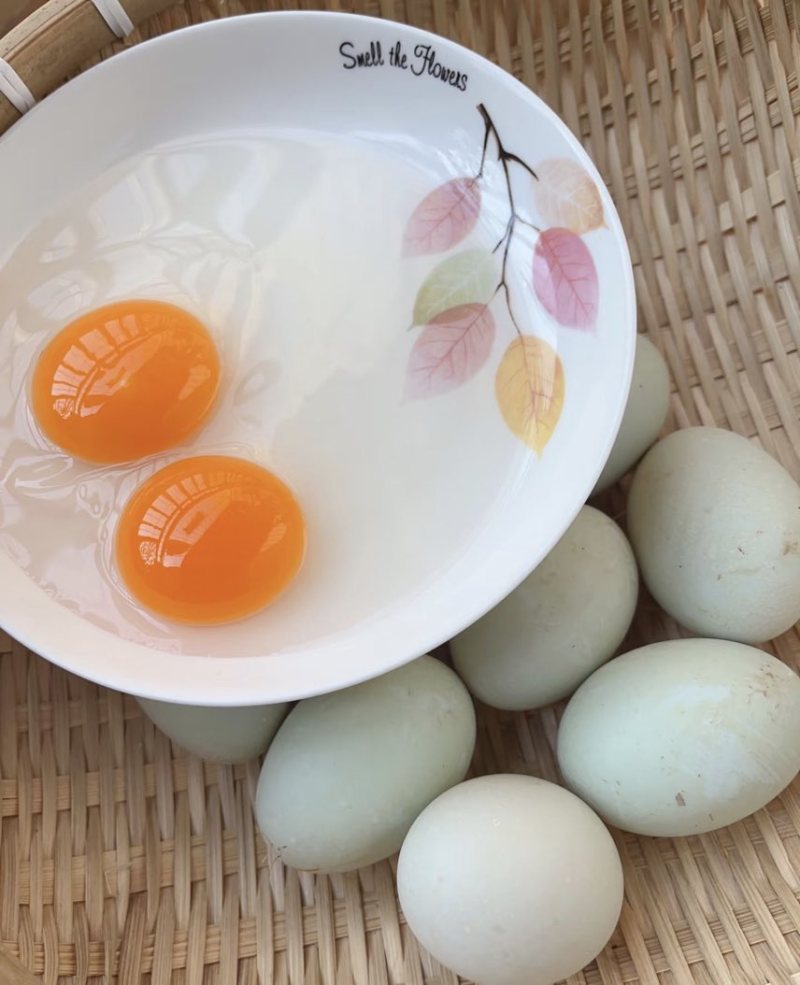 新鲜鸭蛋生鸭蛋农家散养水养活水青壳青皮生鲜大蛋现捡现发
