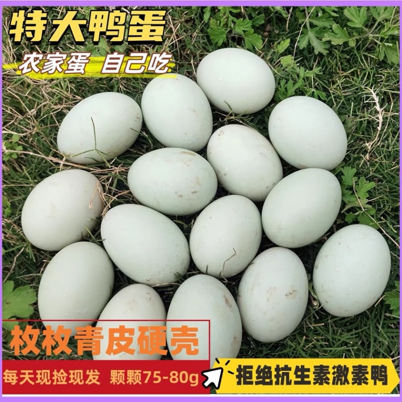 新鲜鸭蛋生鸭蛋农家散养水养活水青壳青皮生鲜大蛋现捡现发