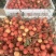 玉荷苞/桂味/无籽/先进奉