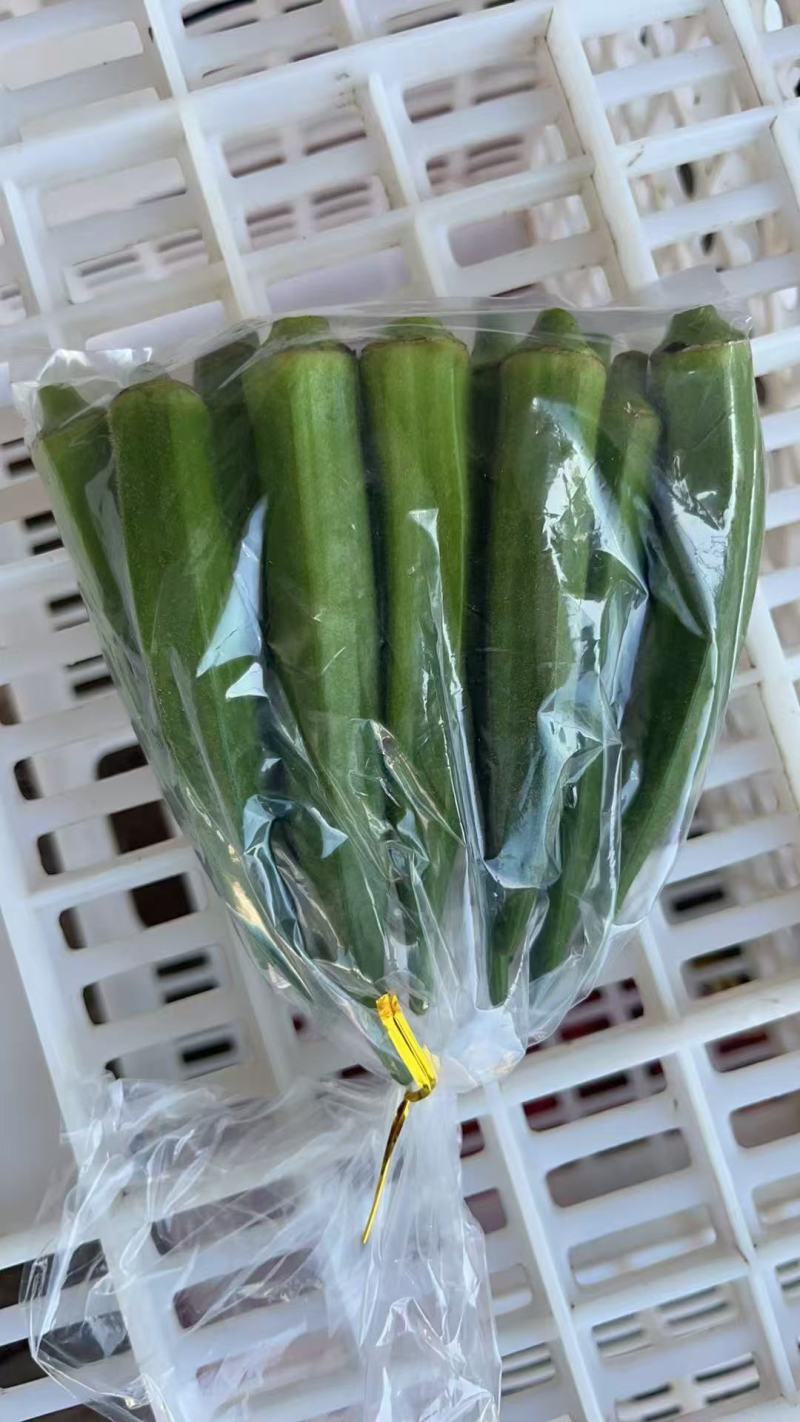 黄秋葵