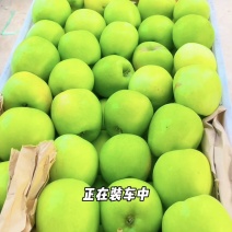 自家园区大量现货，华硕、鲁丽、富藤苹果、精品商超连锁水果店产