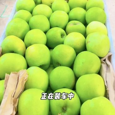 自家园区大量现货，华硕、鲁丽、富藤苹果、精品商超连锁水果店产