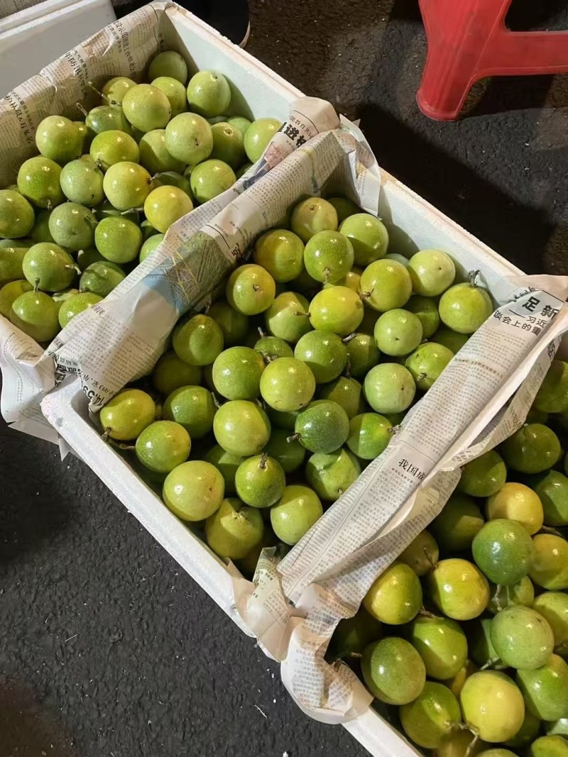 钦蜜9号百香果
