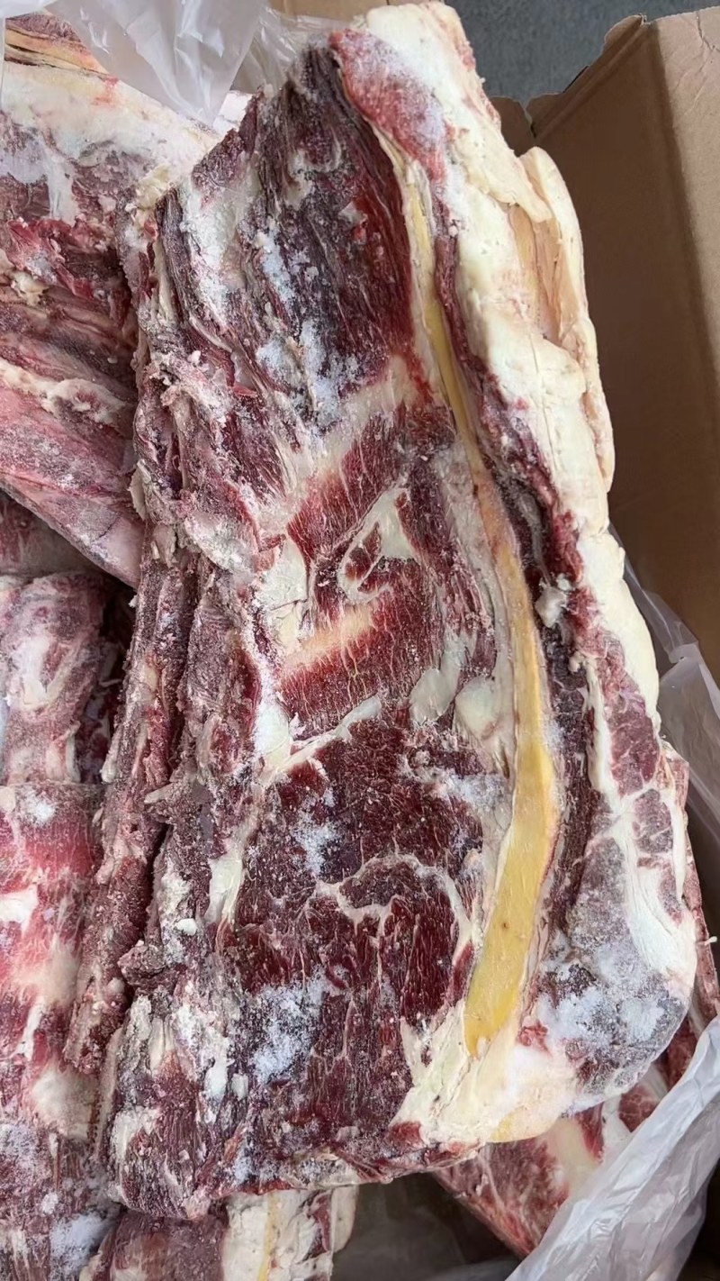 牛羽骨