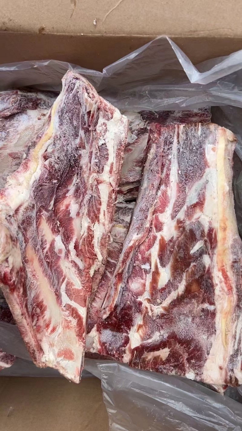 牛羽骨