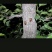 几个人晚上抓的