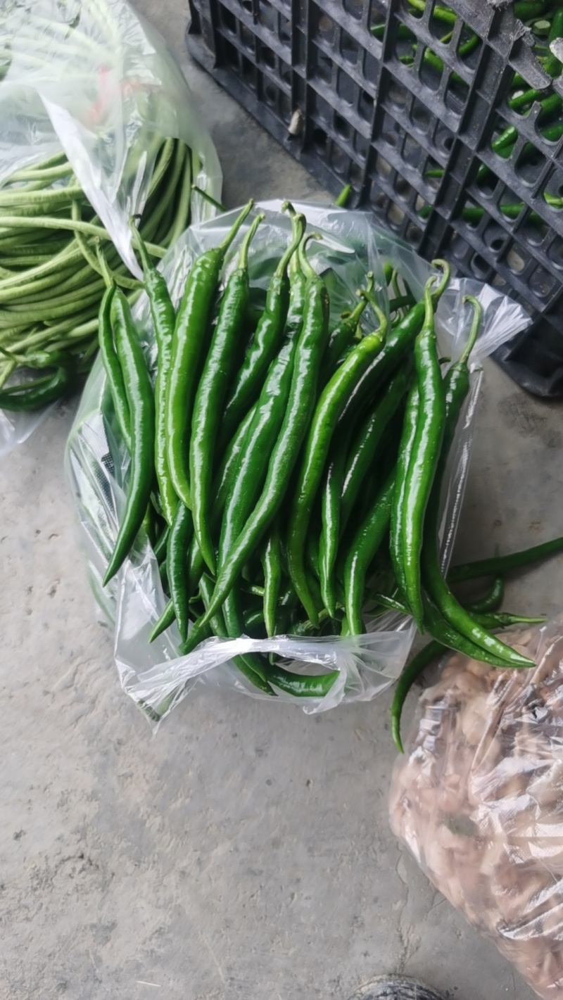 3号线椒