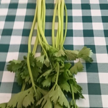 小香芹