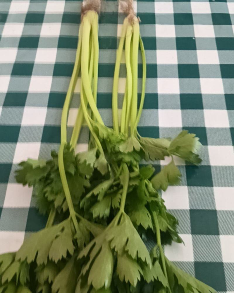 小香芹
