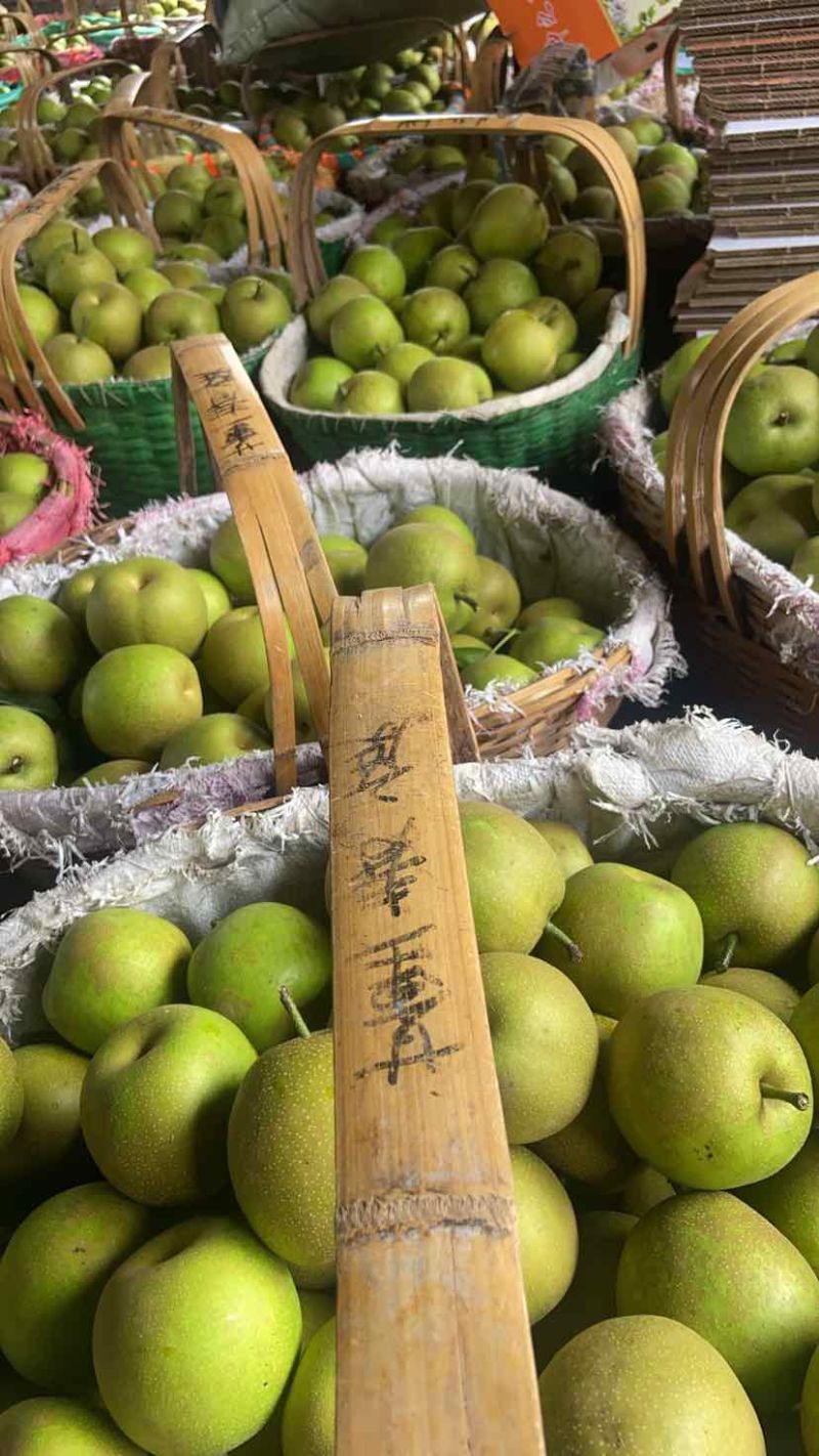 翠冠梨