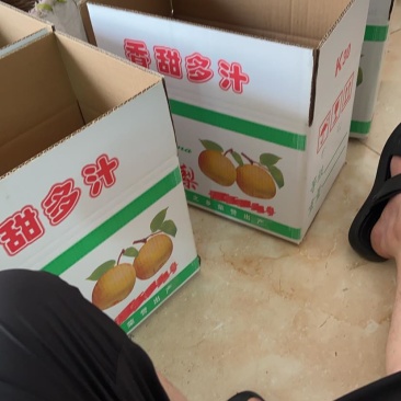 翠冠梨