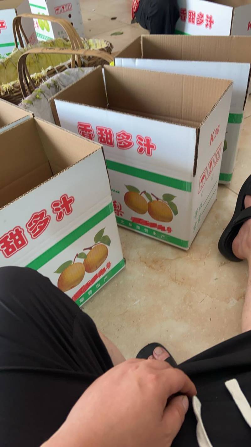 翠冠梨