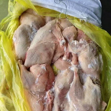 不分级的鸭半片10吨，2900