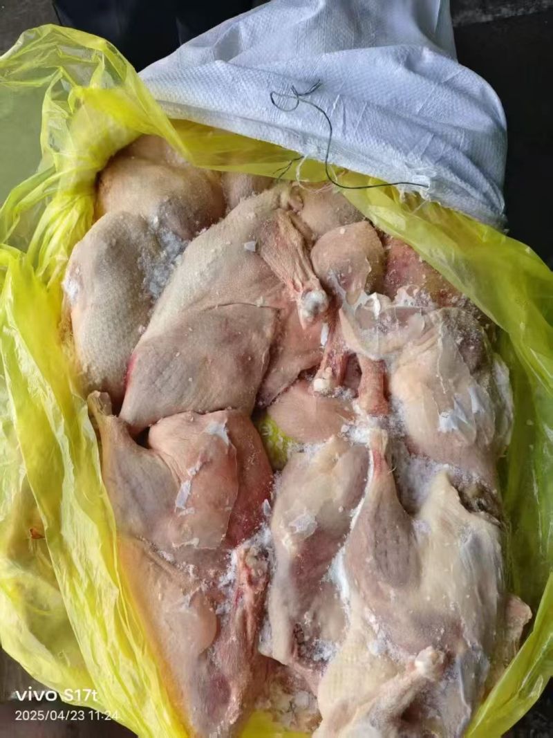 不分级的鸭半片10吨，2900