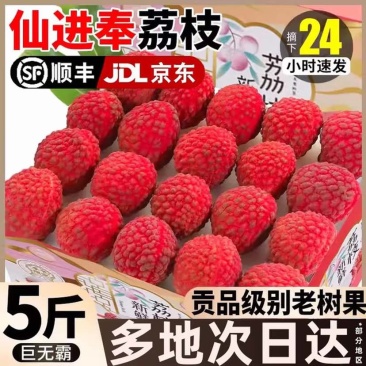 广西当季水果仙进奉荔枝