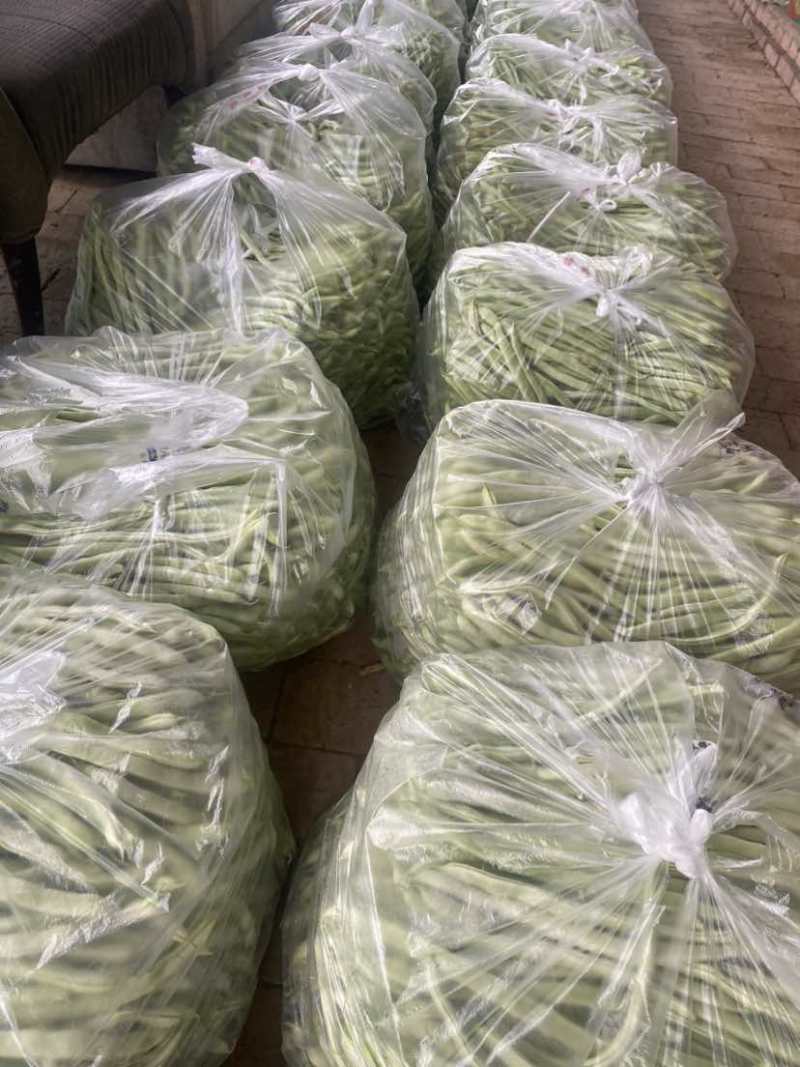 白芸豆