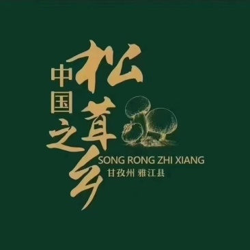 野生松茸