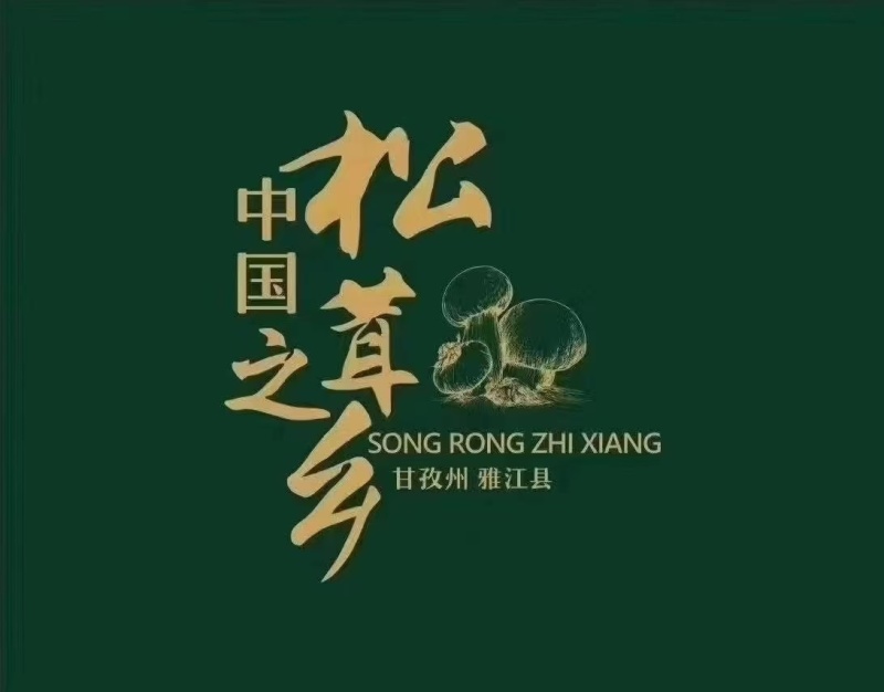 野生松茸