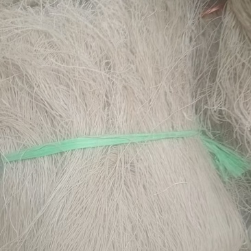 有散装的，也有礼品盒的