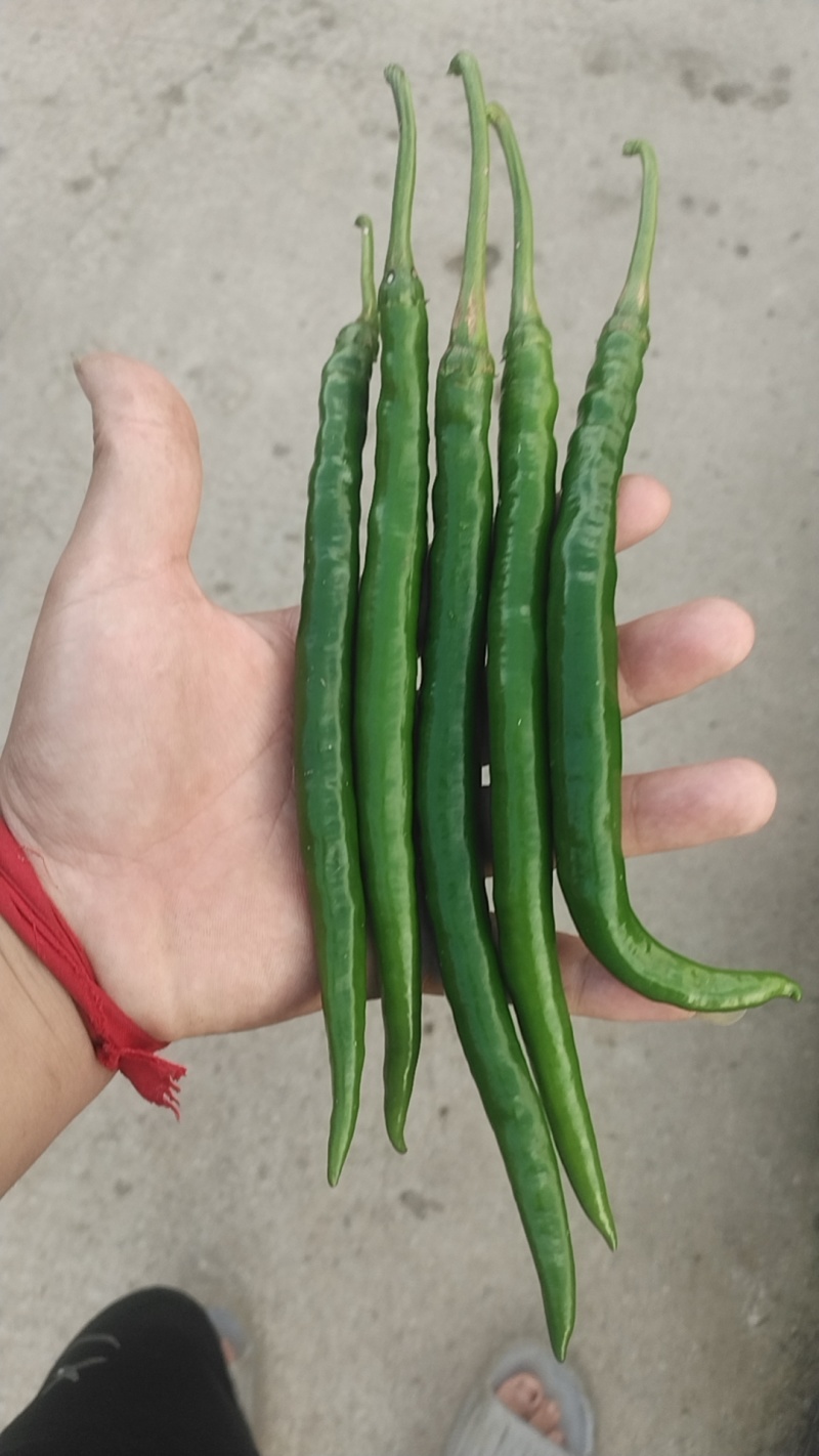 有意的聊聊