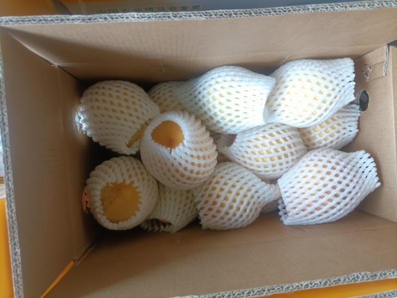 东江湖黄桃