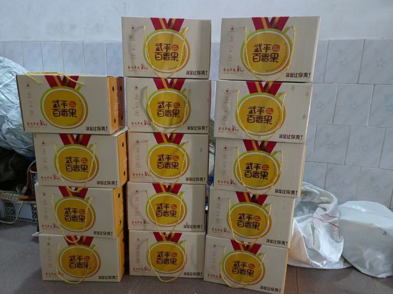 钦密九号百香果