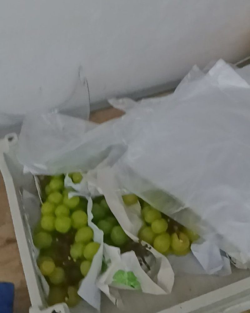 阳光玫瑰