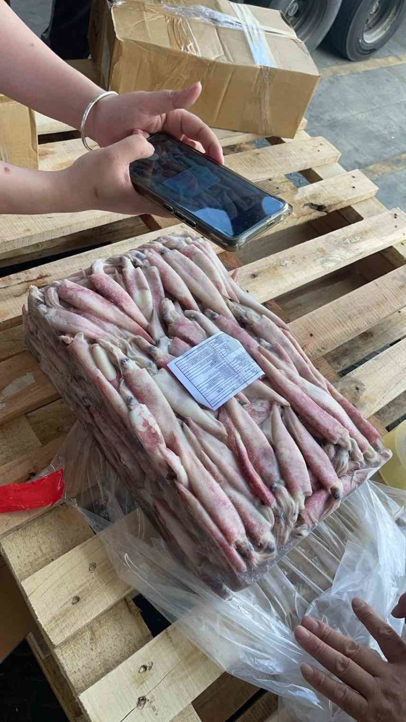 灯管围网鱿鱼，全规格从小到大5公分-15公分都有，现货货美