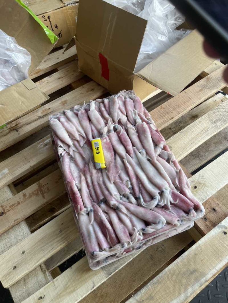 灯管围网鱿鱼，全规格从小到大5公分-15公分都有，现货货美
