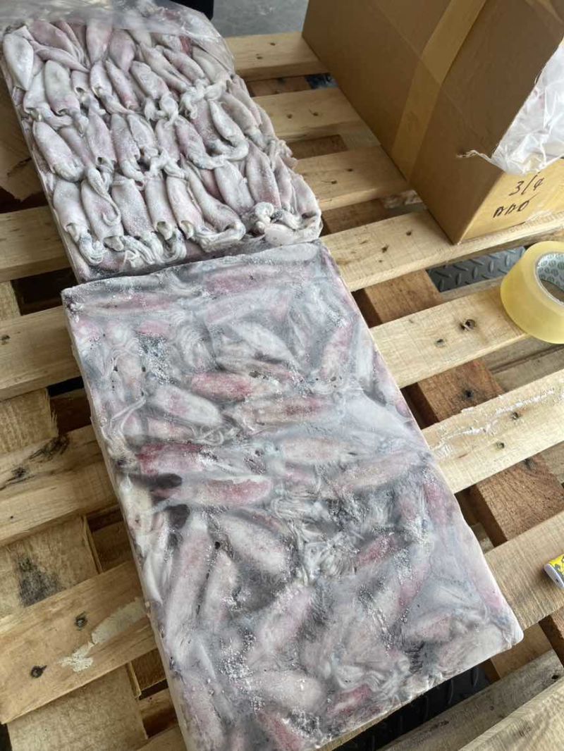 灯管围网鱿鱼，全规格从小到大5公分-15公分都有，现货货美