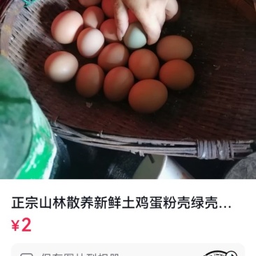 土鸡蛋\土鸡
