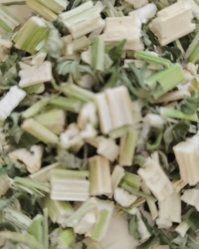 益母草