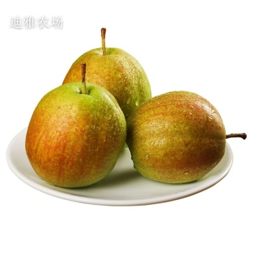 阳信眉梨七号，电商可代发，产地直销