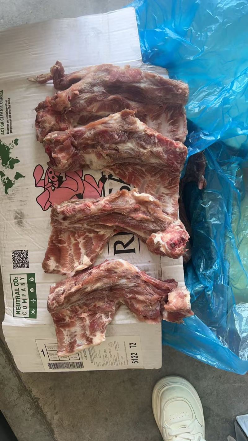 猪胫骨