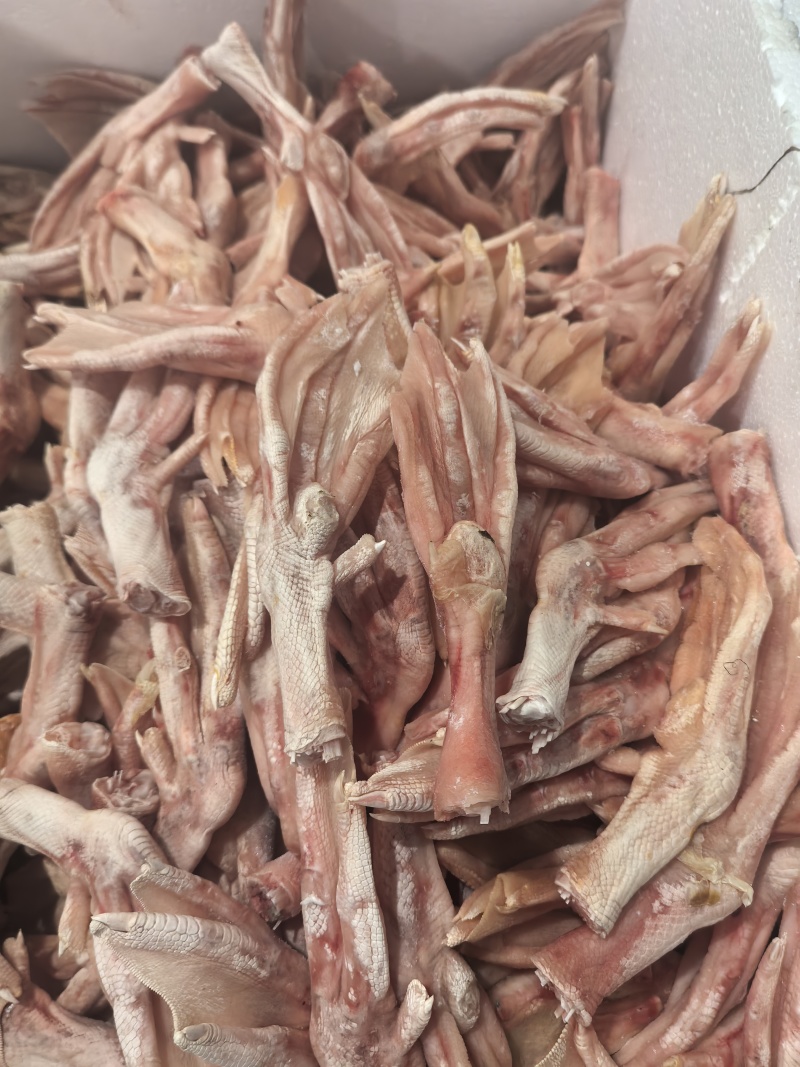白条鸭掌，二节翅