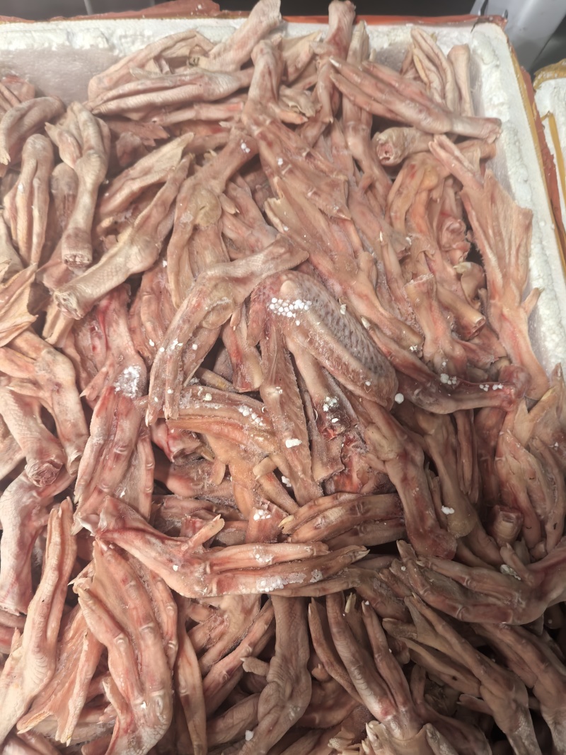 白条鸭掌，二节翅