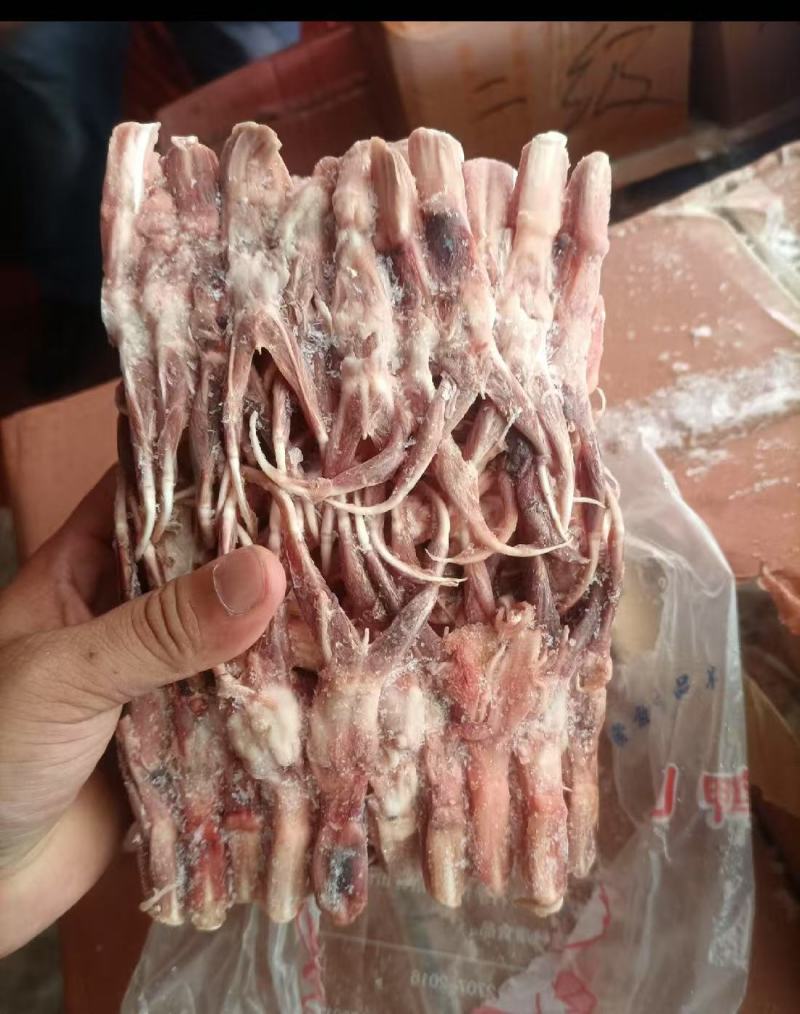 二级鸭舌冷冻批发证件齐全清库存