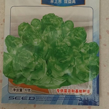 蔬菜种子