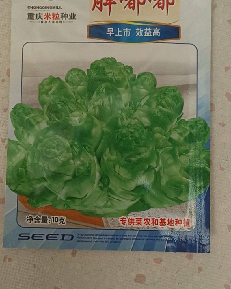 蔬菜种子