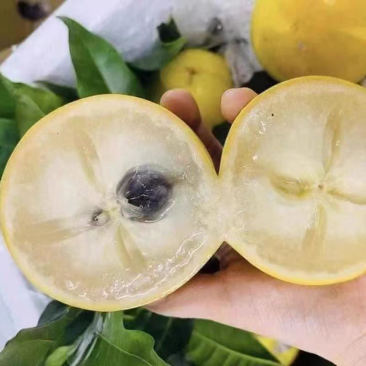 牛奶黄晶果