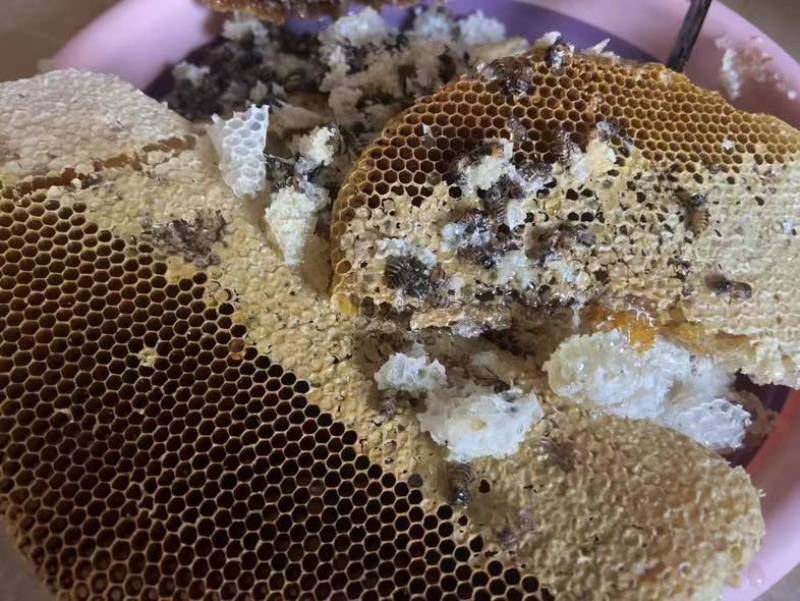 鸭脚树蜂蜜蜂蜜