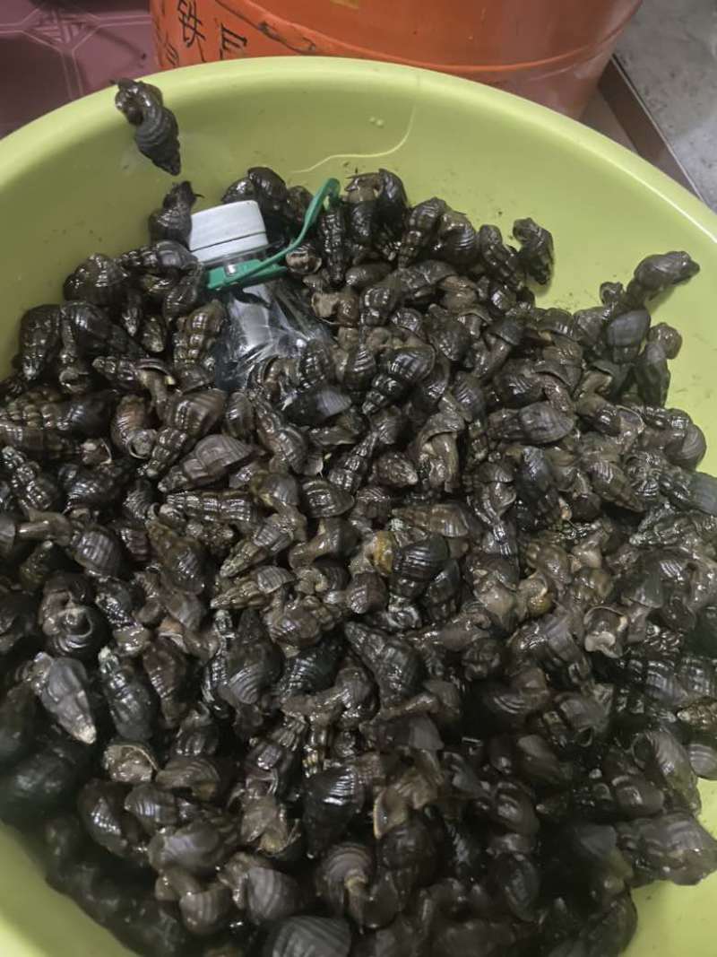 清水扭螺，长期供货有需要的老板请联系