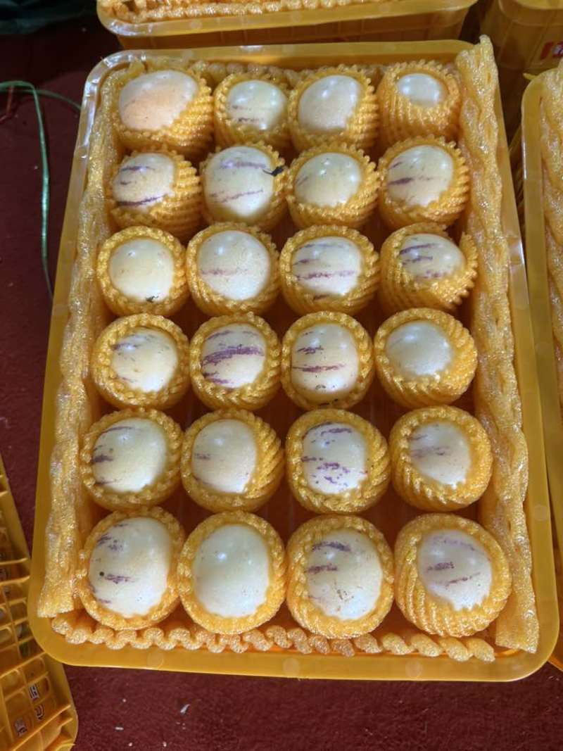 云南人参果