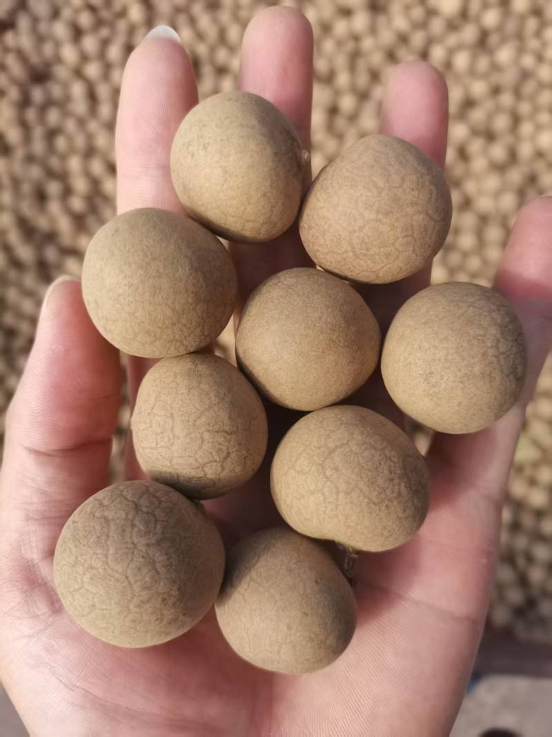 AA级桂圆干核小肉厚